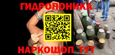 крисы Рязань